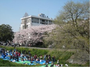 20080402_01