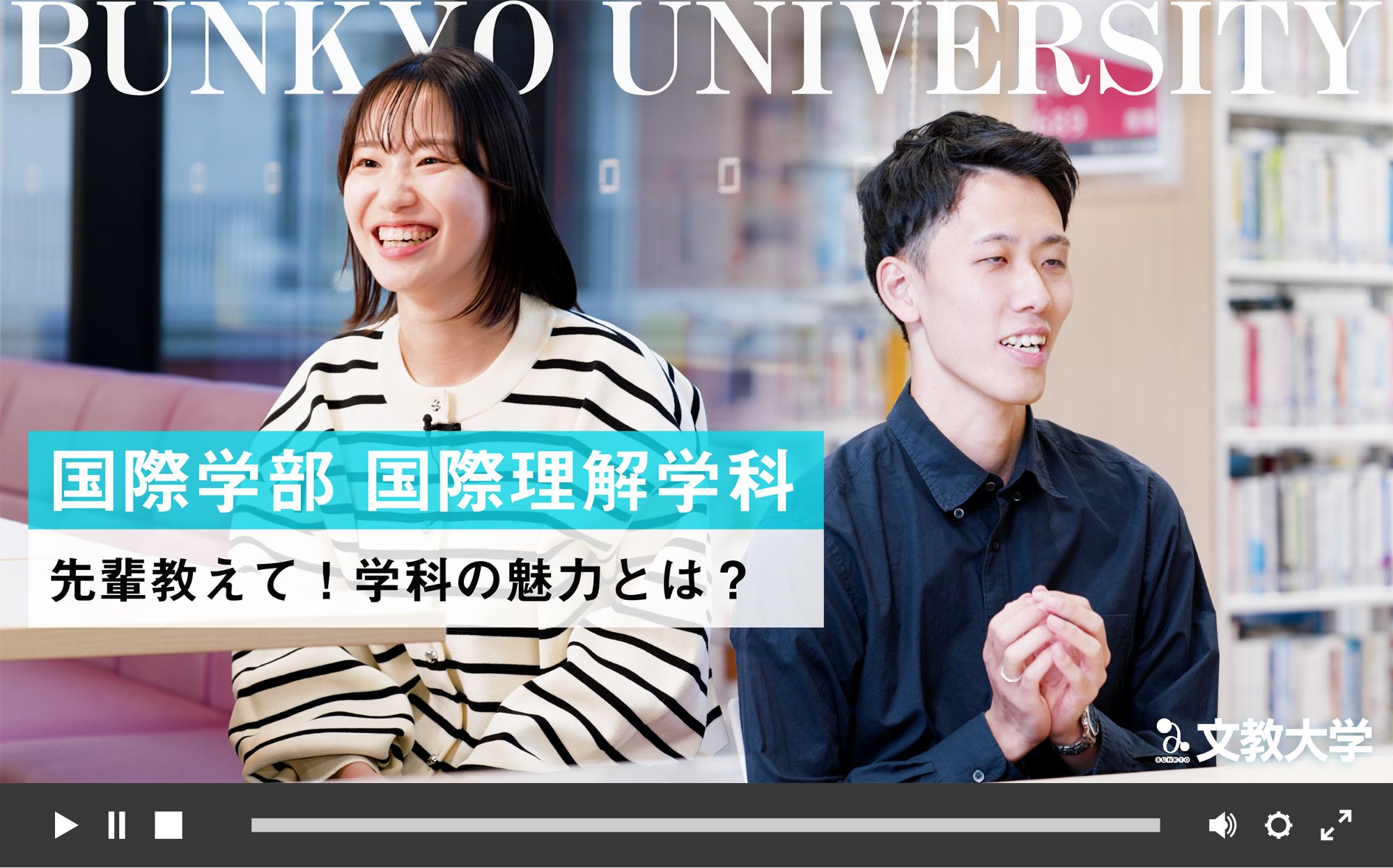 紹介動画