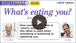 What's eating you?なにがあったの？解説編