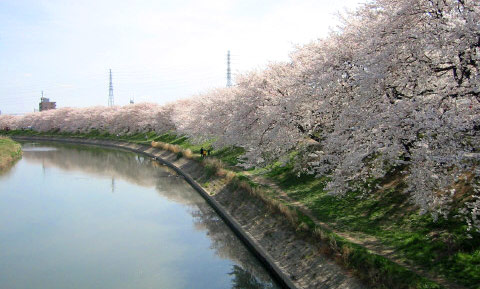 Koshigaya campus