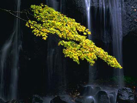 PHT_033