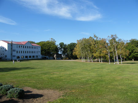 b5garden