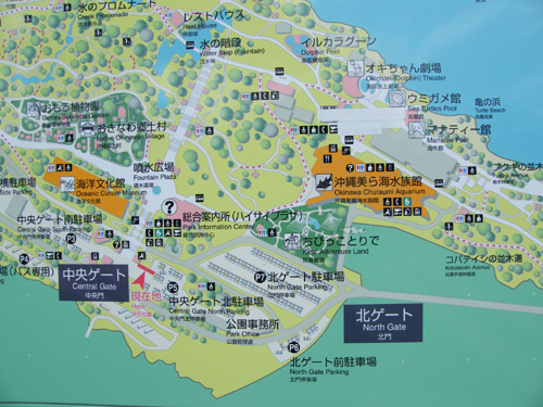 07map