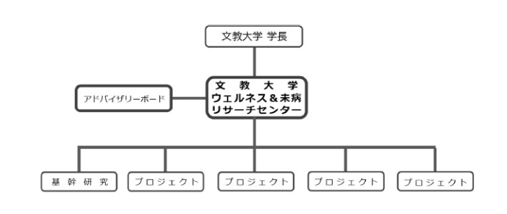 文教大学ウェルネス&未病リサーチセンター組織図