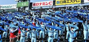 details_48138_02_01.jpg