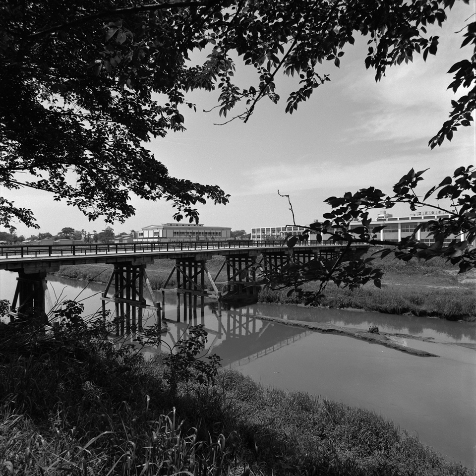 越谷 元荒川から見た立正女子大学（1970年代前半）