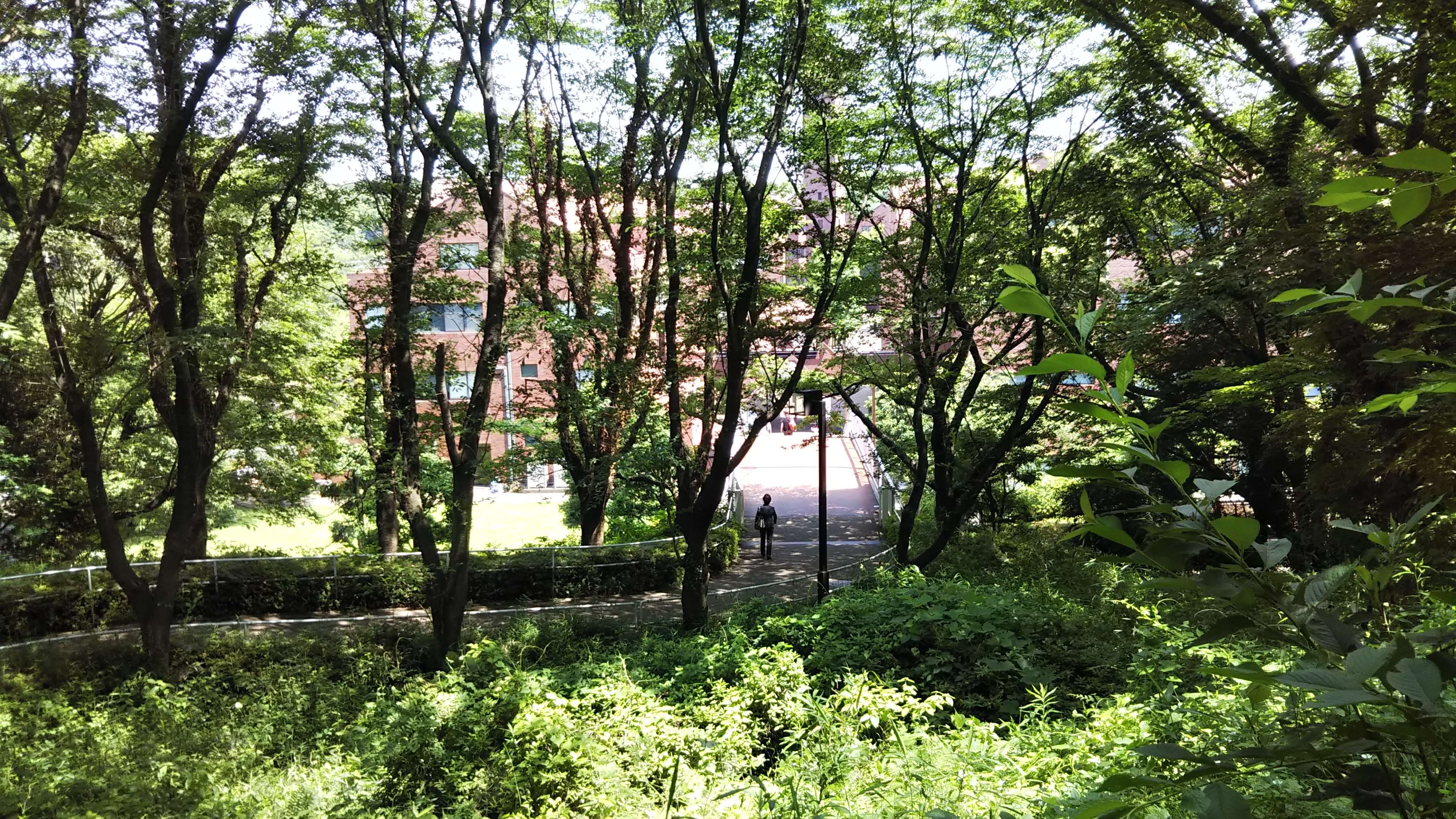 湘南校舎