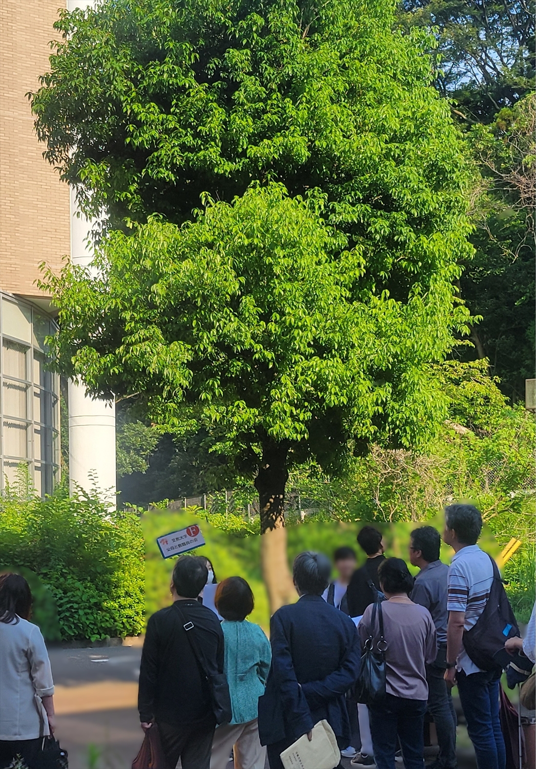 湘南キャンパス学生による学内見学ツアー