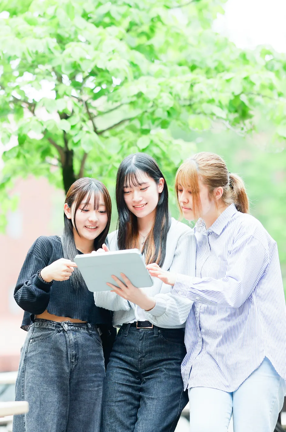 文教大学 健康栄養学部