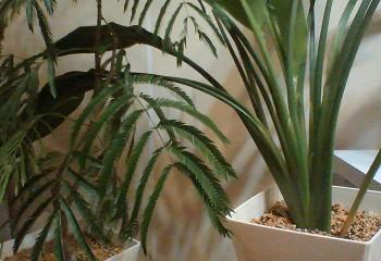 20200527_blog01_02.jpg