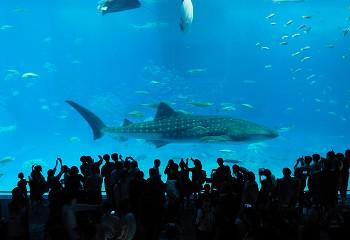 20221026_event01_20.jpg