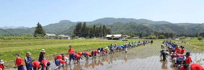 田全(1).jpg