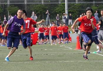 P1070373(1).jpg
