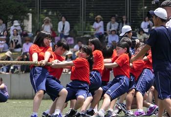 P1050454(1).jpg