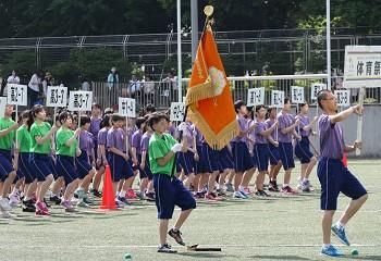 P1030311(1).jpg