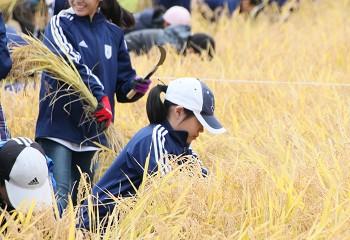 20181026_event01_04.jpg