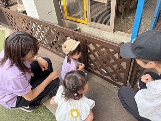 06　ブログぶんぶん (6).jpg
