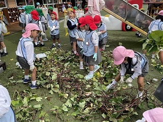 1024 ブログ芋ほり  (2).jpg