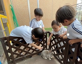 05ブログぶんぶん (8).jpg
