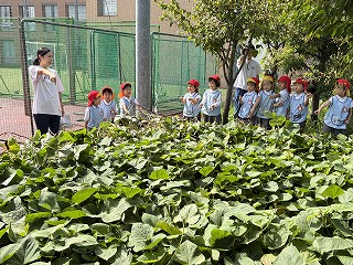 0917 ブログ鶴返し (4).jpg