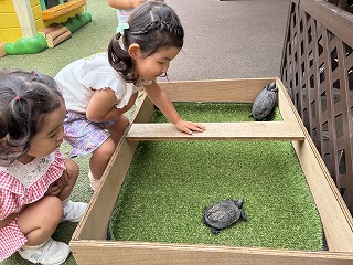 07 ブログぶんぶん (2).jpg
