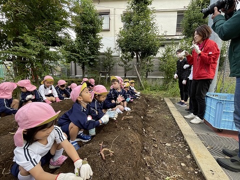 1106 ブログ芋ほり (1).jpg