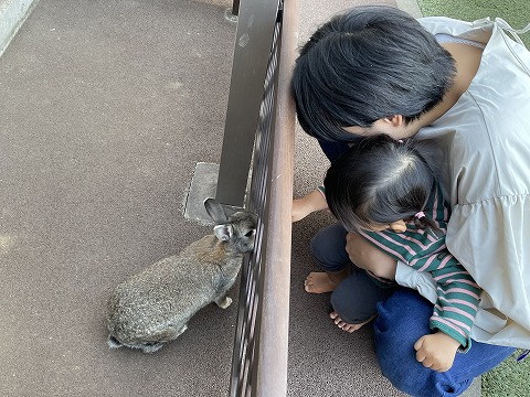 1204 ブログぶんぶん (7).jpg