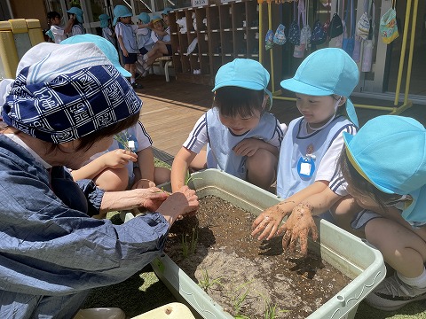 田植え　～稲子さんと一緒に～