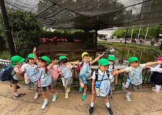 9 岩本　フラ.jpg