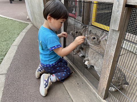 0705 ブログぶんぶん (3).jpg