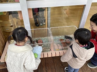 
                    
                      ぶんぶんひろば１月号　～小さなおともだち、こんにちは！～
                    
                    