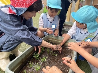 
                    
                      田植え　～稲子さんと一緒に～
                    
                    