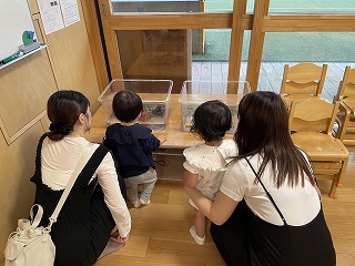 06 ブログぶんぶん (1).jpg