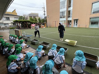 0512 ブログ田植え (1).jpg
