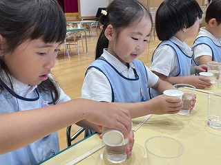 0624 ブログサイエンス (5).jpg