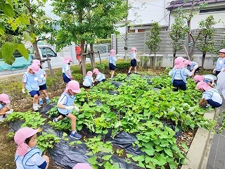 07 7月いろいろ (4).jpg