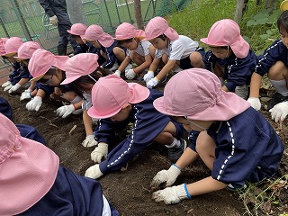 1024 ブログ芋ほり  (3).jpg