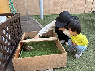 06　ブログぶんぶん (5).jpg