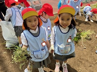 0514 ブログ芋苗 (7).jpg