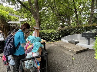 IMG_4943.jpg