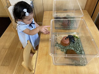 IMG_5409.jpg