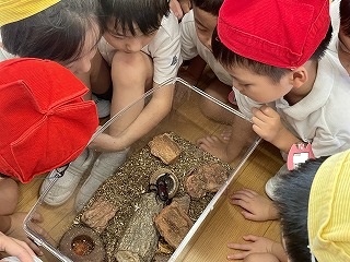 07 7月いろいろ (3).jpg