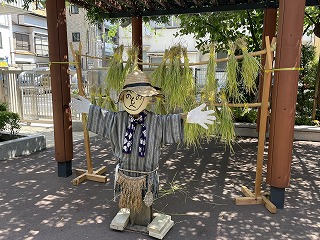 0908 ブログ稲刈り (8).jpg