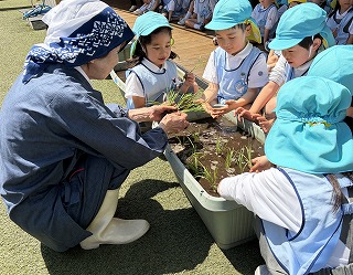 
                    
                      田植え　～稲子さんと一緒に～
                    
                    