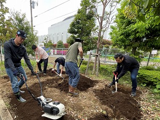 0514 ブログ芋苗 (9).jpg