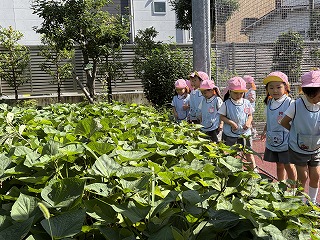 0917 ブログ鶴返し (2).jpg
