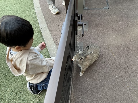 1204 ブログぶんぶん (8).jpg