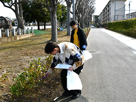 story_44187_05.jpg