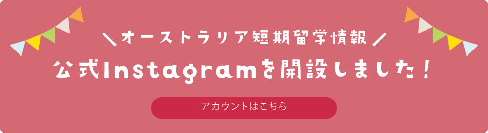 公式インスタグラムを開設しました。アカウントはこちら