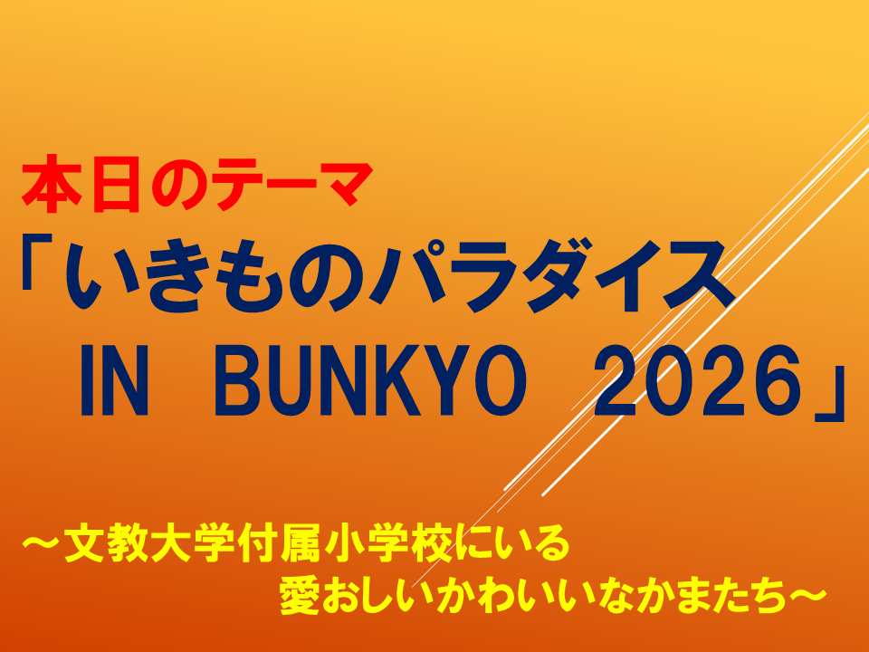 【　いきものパラダイスIN　BUNKYO】 (11).PNG